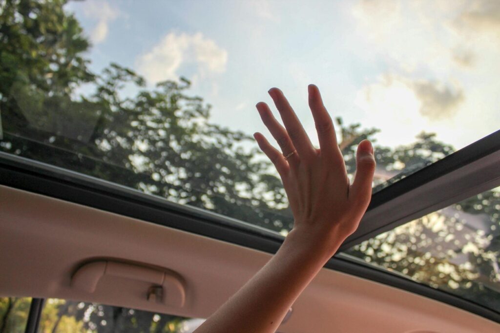 transparent roof
